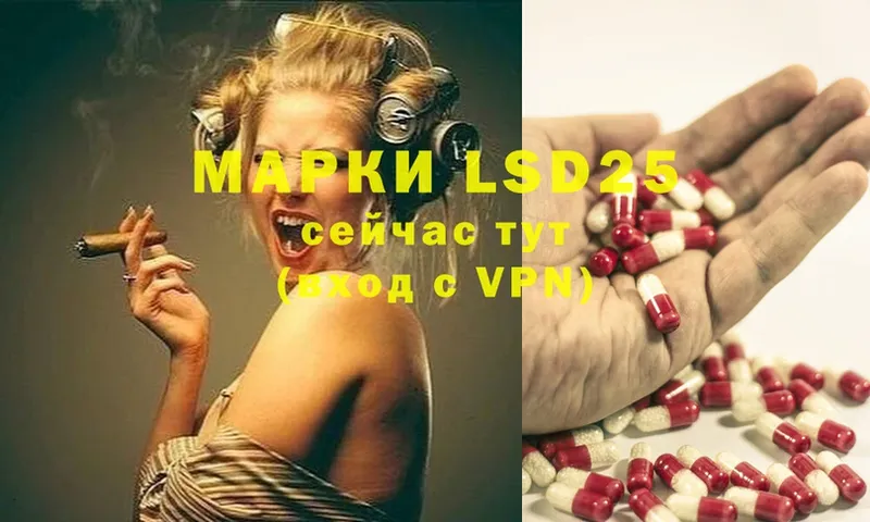 ОМГ ОМГ ссылки  купить наркотики цена  Камышлов  LSD-25 экстази кислота 